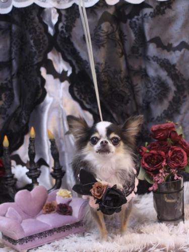 20231027ひめちゃん